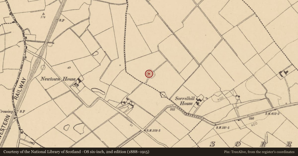Ordnance Survey six-inch map, 2nd edition (1888–1915) covering the location of Ringfort - rath, Sorrel, County Cork, with a pin at the register's coordinates