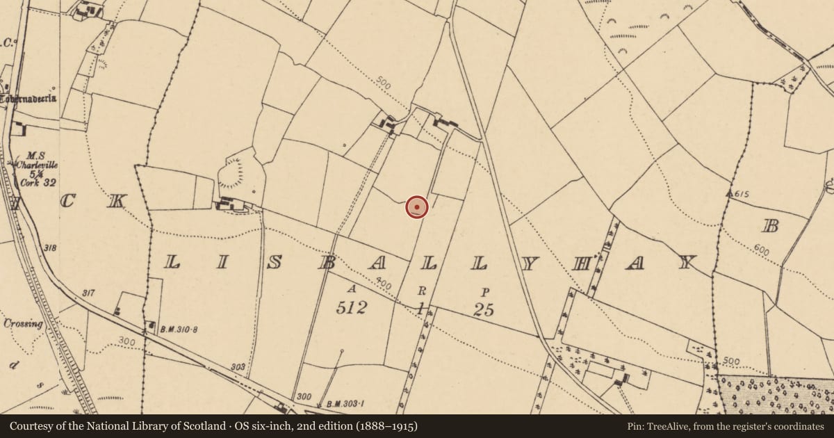Ordnance Survey six-inch map, 2nd edition (1888–1915) covering the location of Enclosure, Lisballyhay, County Cork, with a pin at the register's coordinates