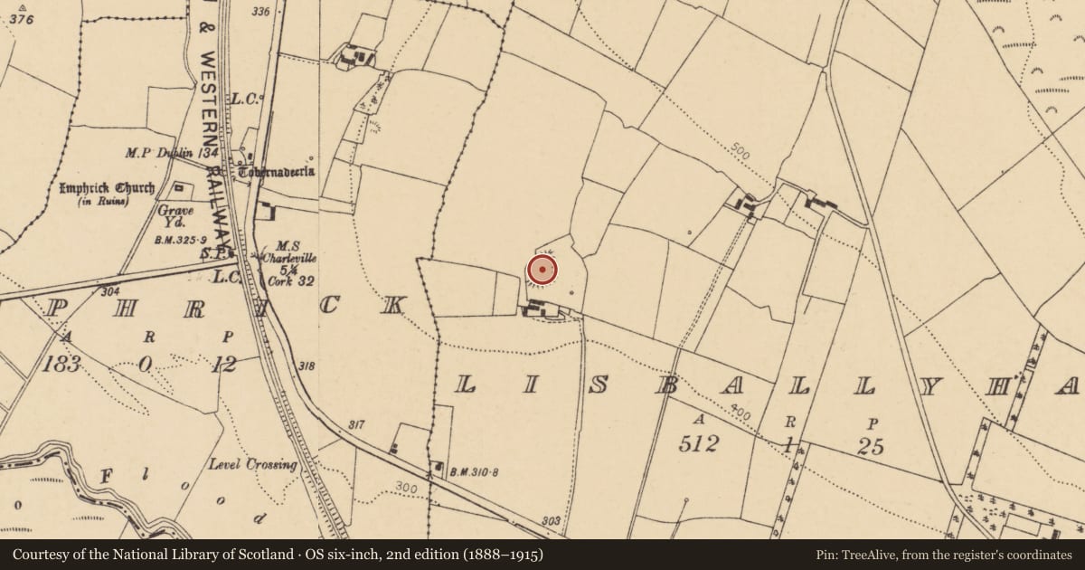Ordnance Survey six-inch map, 2nd edition (1888–1915) covering the location of Ringfort - rath, Lisballyhay, County Cork, with a pin at the register's coordinates