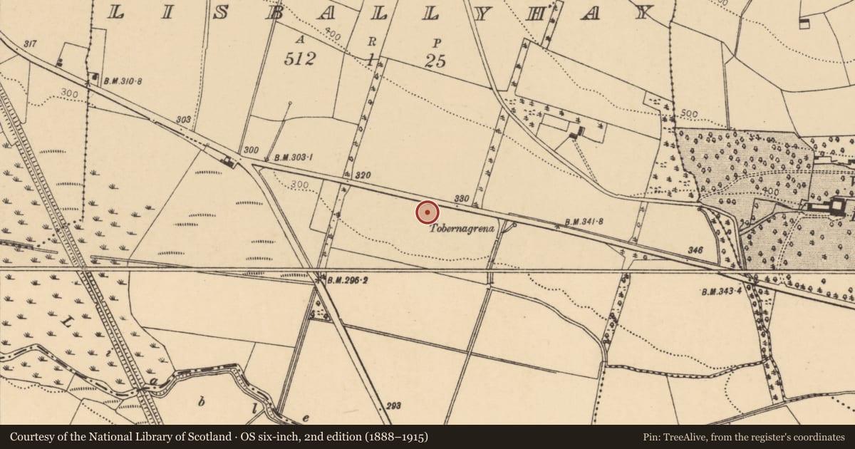 Ordnance Survey six-inch map, 2nd edition (1888–1915) covering the location of Fulacht fia, Lisballyhay, County Cork, with a pin at the register's coordinates