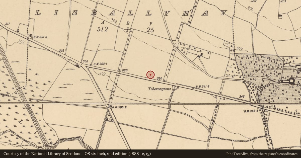 Ordnance Survey six-inch map, 2nd edition (1888–1915) covering the location of Fulacht fia, Lisballyhay, County Cork, with a pin at the register's coordinates
