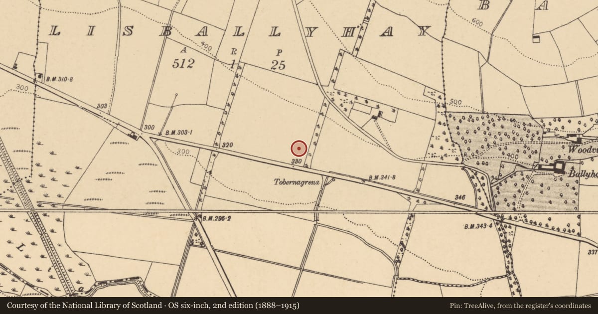 Ordnance Survey six-inch map, 2nd edition (1888–1915) covering the location of Fulacht fia, Lisballyhay, County Cork, with a pin at the register's coordinates