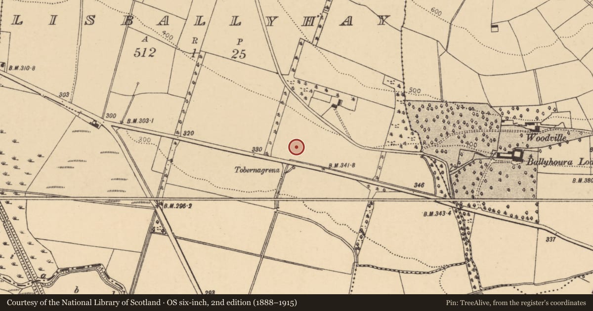 Ordnance Survey six-inch map, 2nd edition (1888–1915) covering the location of Fulacht fia, Lisballyhay, County Cork, with a pin at the register's coordinates