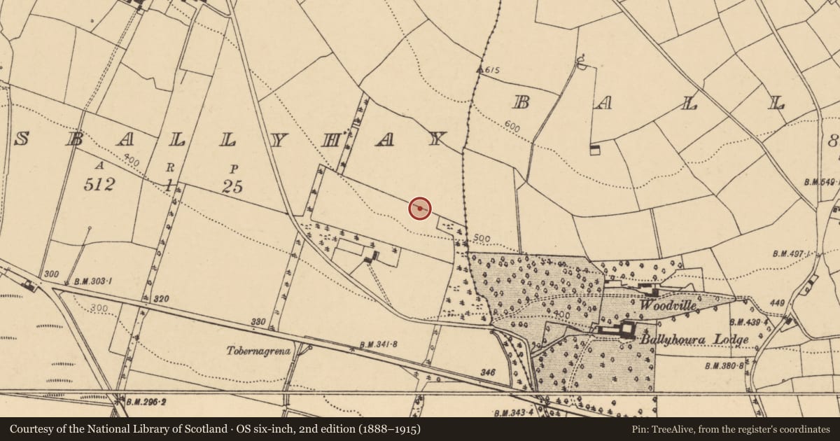 Ordnance Survey six-inch map, 2nd edition (1888–1915) covering the location of Ringfort - rath, Lisballyhay, County Cork, with a pin at the register's coordinates