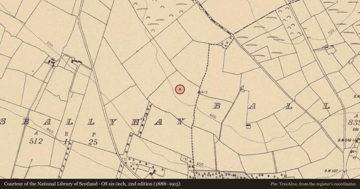 Ordnance Survey six-inch map, 2nd edition (1888–1915) covering the location of Enclosure, Lisballyhay, County Cork, with a pin at the register's coordinates