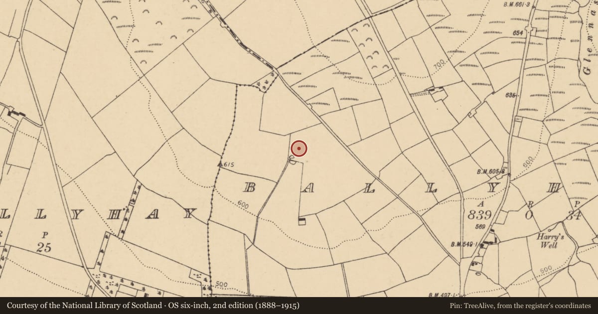 Ordnance Survey six-inch map, 2nd edition (1888–1915) covering the location of Fulacht fia, Ballyhoura, County Cork, with a pin at the register's coordinates