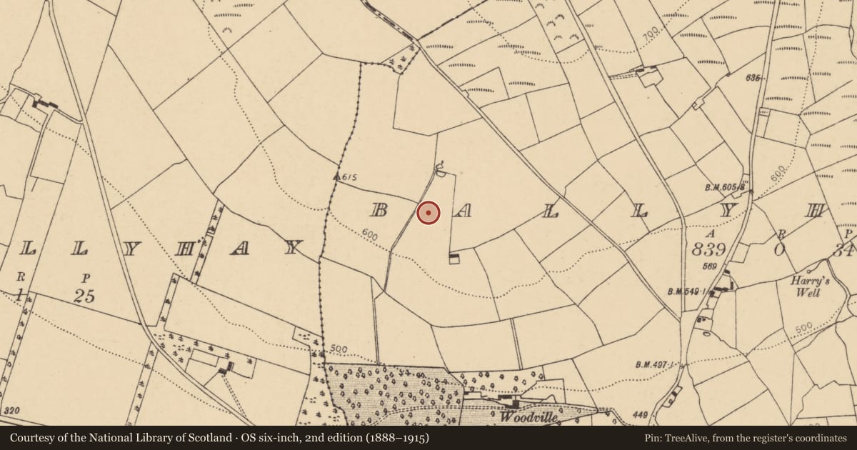 Ordnance Survey six-inch map, 2nd edition (1888–1915) covering the location of Fulacht fia, Ballyhoura, County Cork, with a pin at the register's coordinates