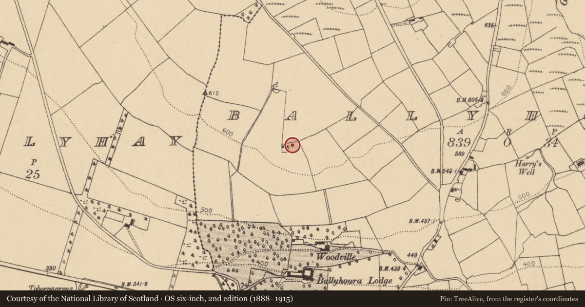 Ordnance Survey six-inch map, 2nd edition (1888–1915) covering the location of Fulacht fia, Ballyhoura, County Cork, with a pin at the register's coordinates