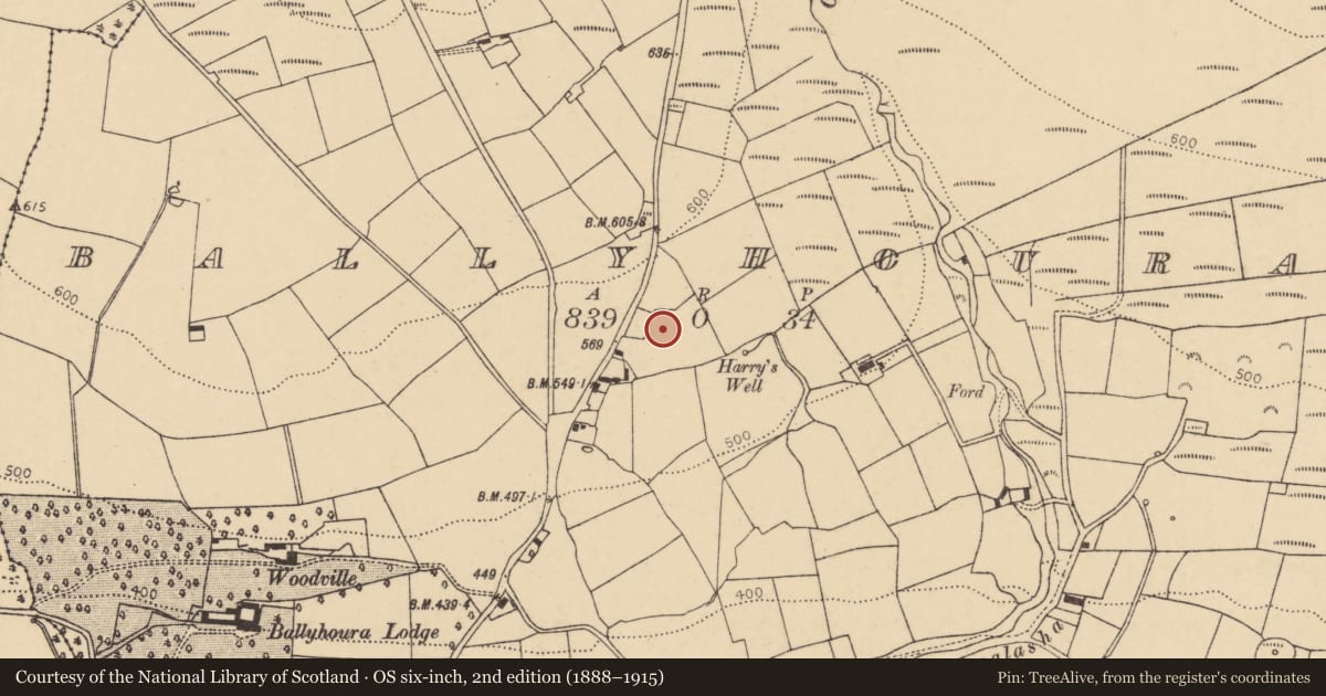 Ordnance Survey six-inch map, 2nd edition (1888–1915) covering the location of Ringfort - rath, Ballyhoura, County Cork, with a pin at the register's coordinates
