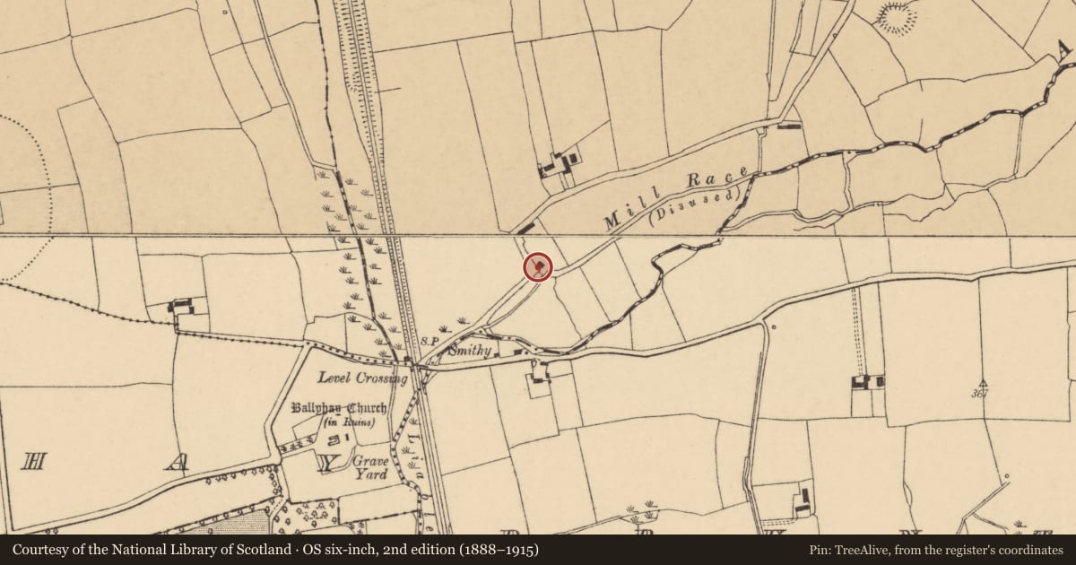 Ordnance Survey six-inch map, 2nd edition (1888–1915) covering the location of Mill - corn, Rathmorgan, County Cork, with a pin at the register's coordinates