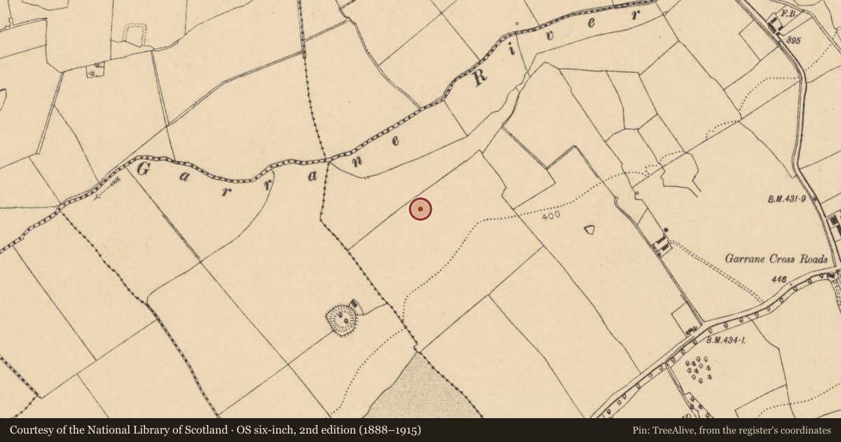 Ordnance Survey six-inch map, 2nd edition (1888–1915) covering the location of Fulacht fia, Garrane, County Cork, with a pin at the register's coordinates