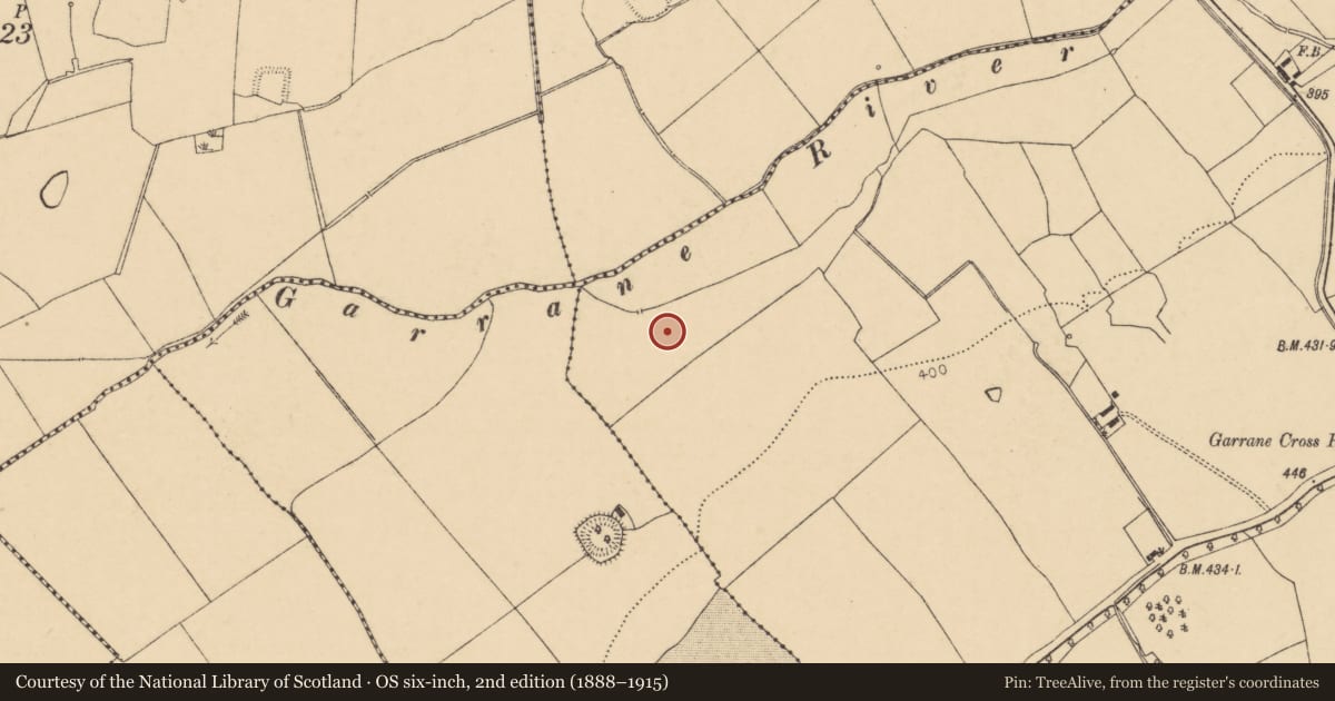 Ordnance Survey six-inch map, 2nd edition (1888–1915) covering the location of Barrow - ring-barrow, Garrane, County Cork, with a pin at the register's coordinates