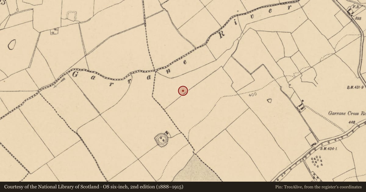Ordnance Survey six-inch map, 2nd edition (1888–1915) covering the location of Barrow - ring-barrow, Garrane, County Cork, with a pin at the register's coordinates