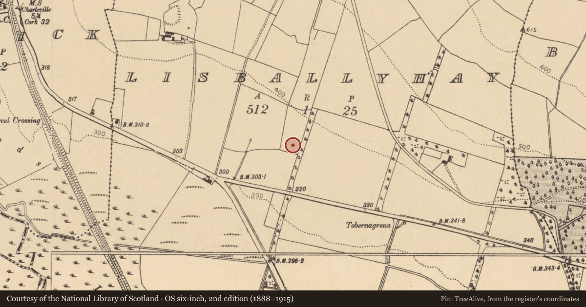 Ordnance Survey six-inch map, 2nd edition (1888–1915) covering the location of Burnt spread, Lisballyhay, County Cork, with a pin at the register's coordinates