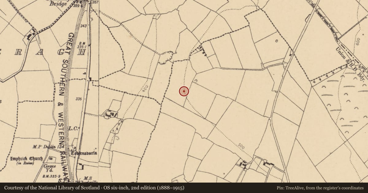 Ordnance Survey six-inch map, 2nd edition (1888–1915) covering the location of Standing stone, Lisballyhay, County Cork, with a pin at the register's coordinates