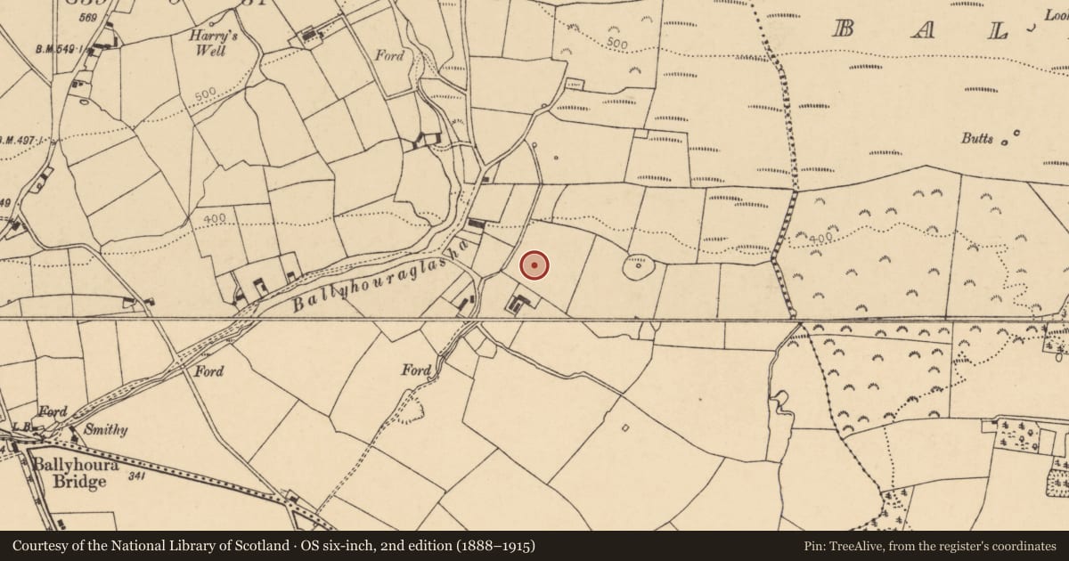 Ordnance Survey six-inch map, 2nd edition (1888–1915) covering the location of Fulacht fia, Ballyhoura, County Cork, with a pin at the register's coordinates