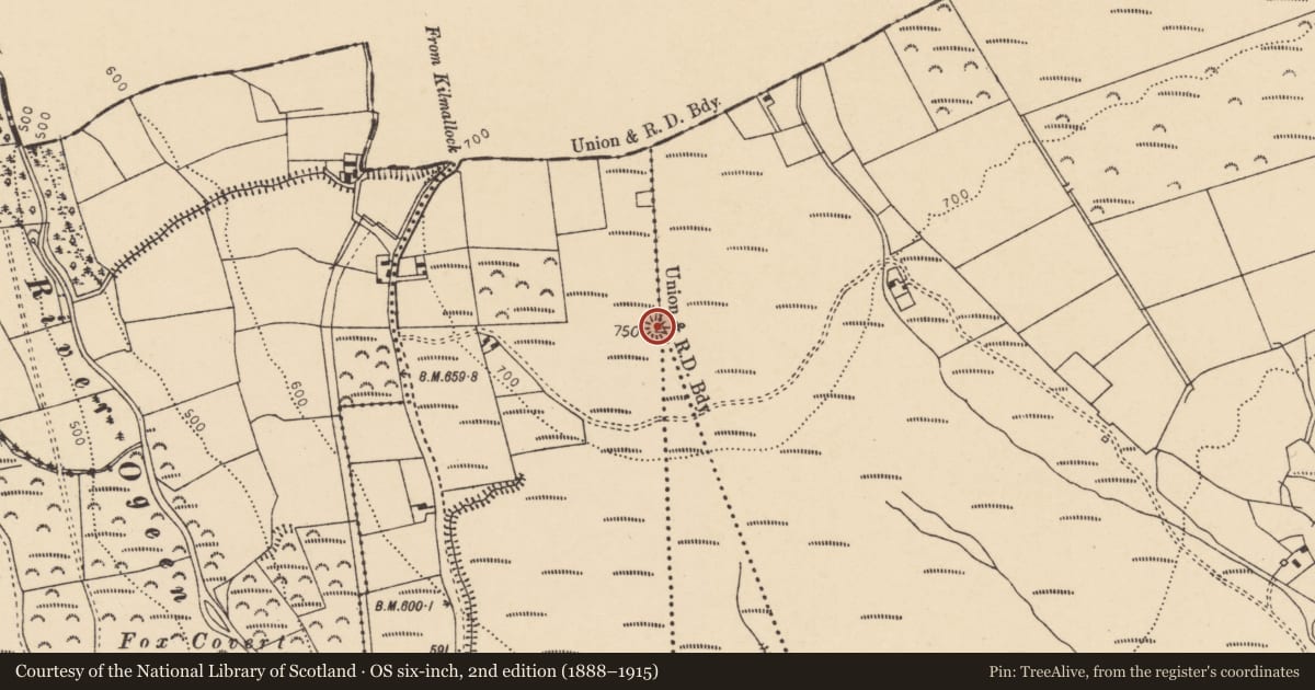 Ordnance Survey six-inch map, 2nd edition (1888–1915) covering the location of Enclosure, Ballintlea South, County Cork, with a pin at the register's coordinates