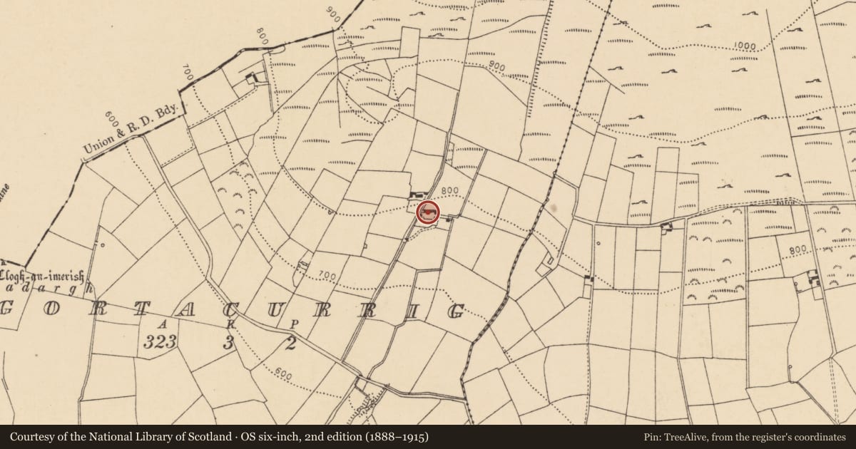 Ordnance Survey six-inch map, 2nd edition (1888–1915) covering the location of House - vernacular house, Gortacurrig, County Cork, with a pin at the register's coordinates