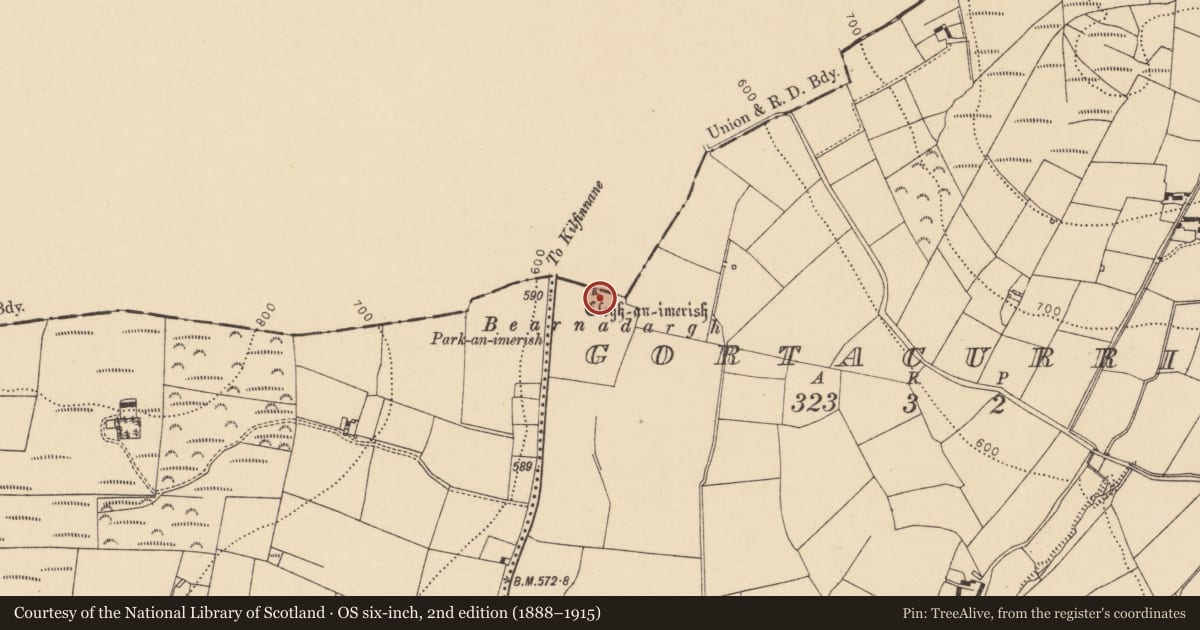 Ordnance Survey six-inch map, 2nd edition (1888–1915) covering the location of Standing stone, Gortacurrig, County Cork, with a pin at the register's coordinates