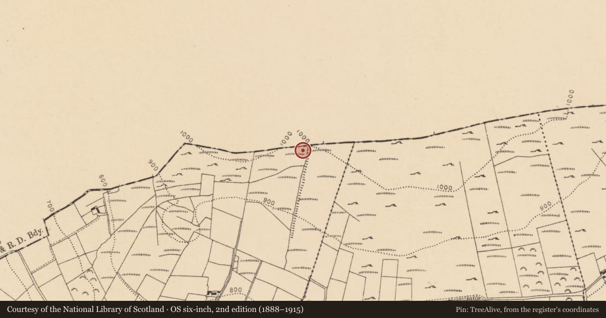 Ordnance Survey six-inch map, 2nd edition (1888–1915) covering the location of Enclosure, Gortacurrig, County Cork, with a pin at the register's coordinates