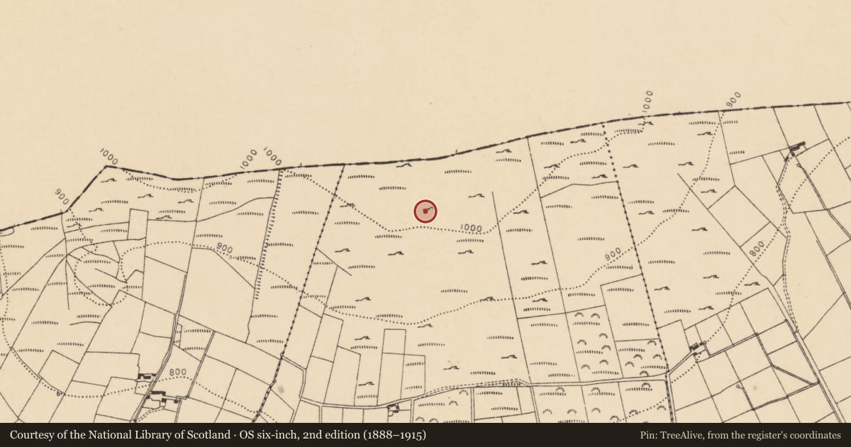 Ordnance Survey six-inch map, 2nd edition (1888–1915) covering the location of Mass-rock, Boleynanoultagh, County Cork, with a pin at the register's coordinates