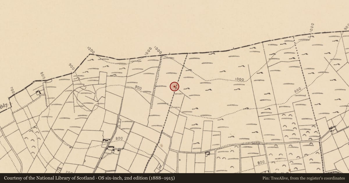 Ordnance Survey six-inch map, 2nd edition (1888–1915) covering the location of Millstone quarry, Boleynanoultagh, Gortacurrig, County Cork, with a pin at the register's coordinates