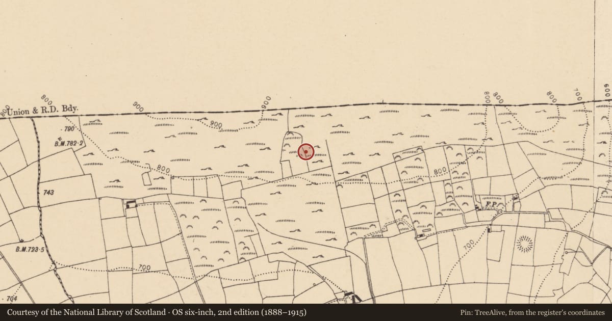 Ordnance Survey six-inch map, 2nd edition (1888–1915) covering the location of Millstone quarry, Kilclooney, County Cork, with a pin at the register's coordinates