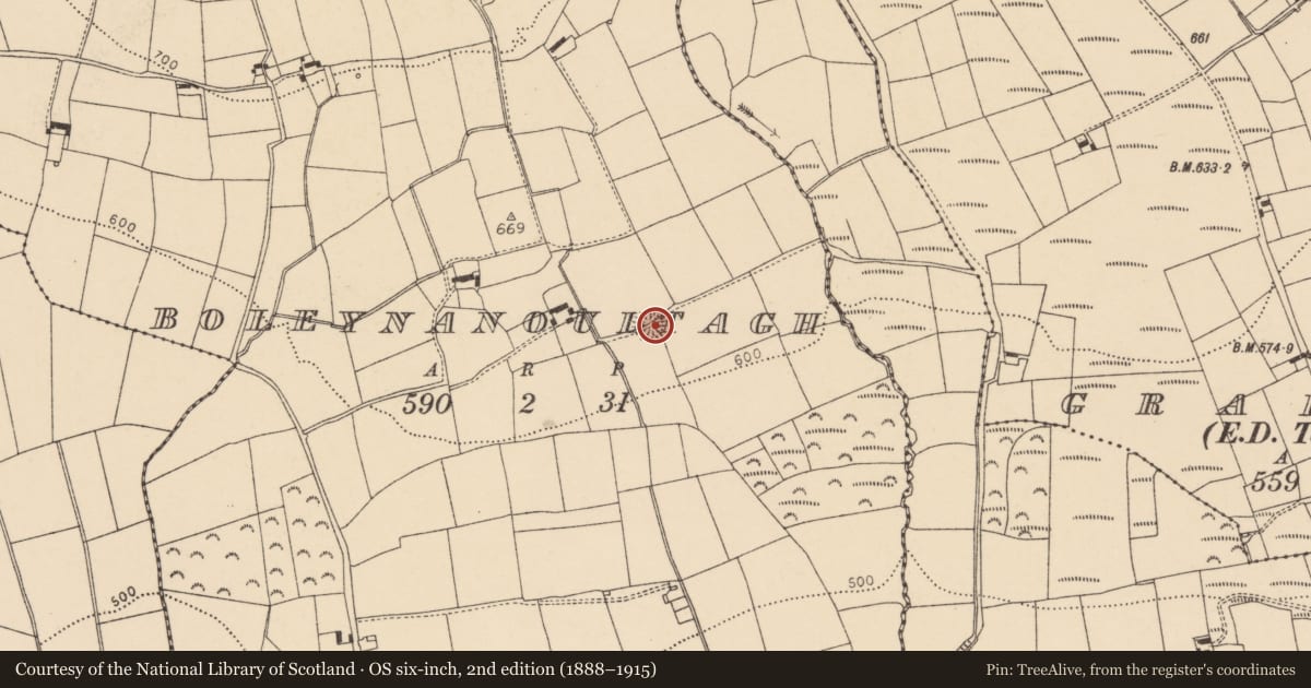 Ordnance Survey six-inch map, 2nd edition (1888–1915) covering the location of Ringfort - rath, Boleynanoultagh, County Cork, with a pin at the register's coordinates