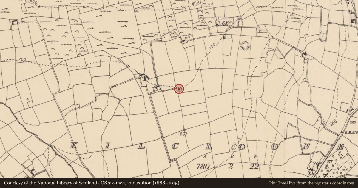 Ordnance Survey six-inch map, 2nd edition (1888–1915) covering the location of Ringfort - rath, Kilclooney, County Cork, with a pin at the register's coordinates