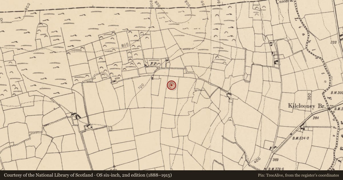 Ordnance Survey six-inch map, 2nd edition (1888–1915) covering the location of Ringfort - rath, Kilclooney, County Cork, with a pin at the register's coordinates