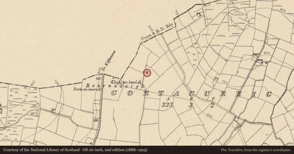 Ordnance Survey six-inch map, 2nd edition (1888–1915) covering the location of Fulacht fia, Gortacurrig, County Cork, with a pin at the register's coordinates