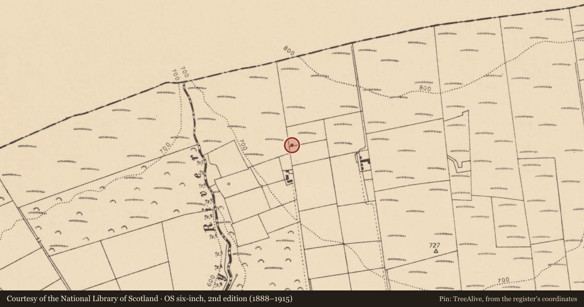 Ordnance Survey six-inch map, 2nd edition (1888–1915) covering the location of Fulacht fia, Quitrent Mountain, County Cork, with a pin at the register's coordinates