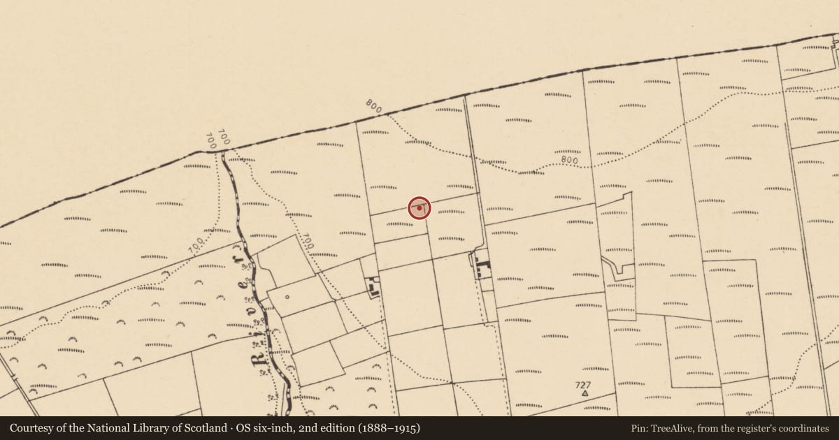 Ordnance Survey six-inch map, 2nd edition (1888–1915) covering the location of Ringfort - rath, Quitrent Mountain, County Cork, with a pin at the register's coordinates