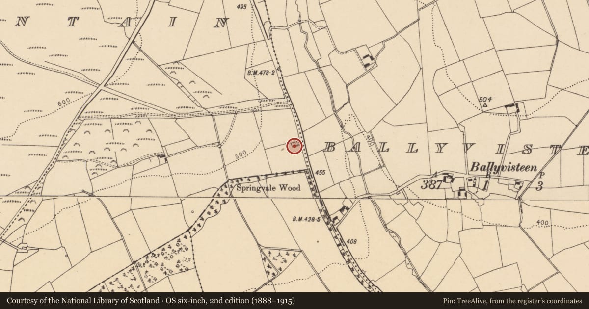 Ordnance Survey six-inch map, 2nd edition (1888–1915) covering the location of Kiln - lime, Quitrent Mountain, County Cork, with a pin at the register's coordinates