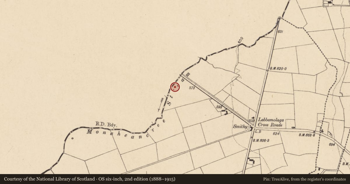 Ordnance Survey six-inch map, 2nd edition (1888–1915) covering the location of Fulacht fia, Labbamolaga West, County Cork, with a pin at the register's coordinates