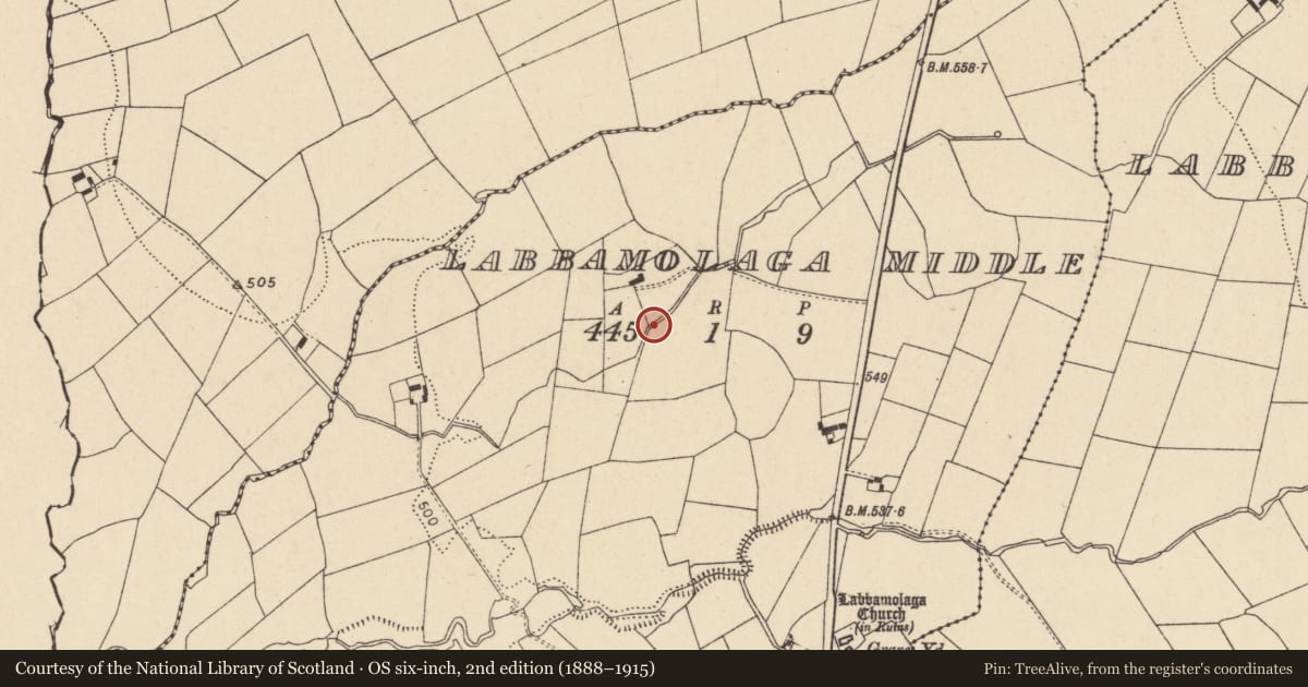 Ordnance Survey six-inch map, 2nd edition (1888–1915) covering the location of Fulacht fia, Labbamolaga Middle, County Cork, with a pin at the register's coordinates