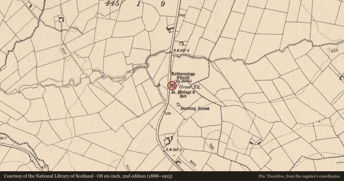 Ordnance Survey six-inch map, 2nd edition (1888–1915) covering the location of Ecclesiastical enclosure, Labbamolaga Middle, County Cork, with a pin at the register's coordinates