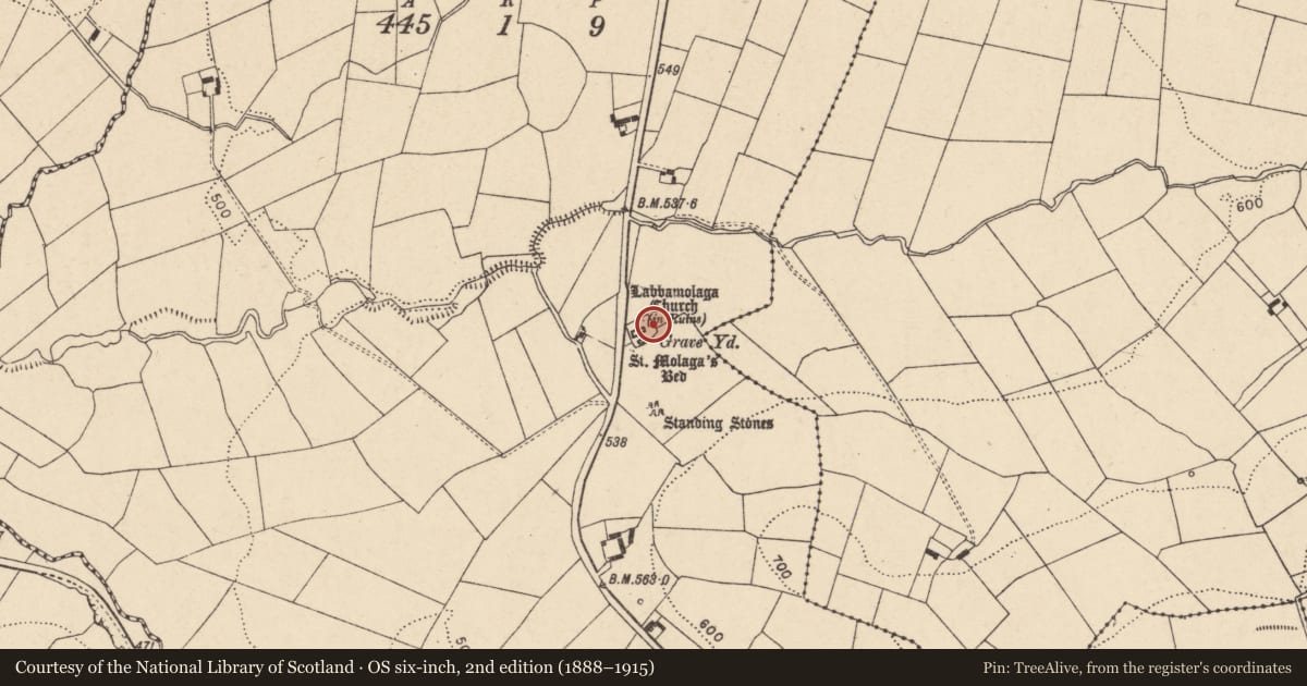 Ordnance Survey six-inch map, 2nd edition (1888–1915) covering the location of Graveyard, Labbamolaga Middle, County Cork, with a pin at the register's coordinates