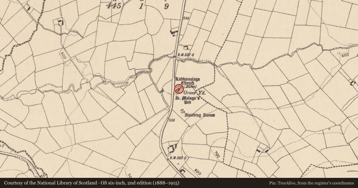 Ordnance Survey six-inch map, 2nd edition (1888–1915) covering the location of Church, Labbamolaga Middle, County Cork, with a pin at the register's coordinates