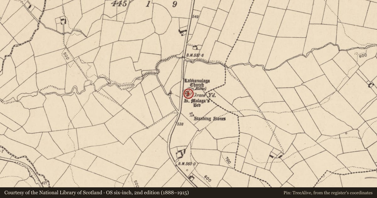 Ordnance Survey six-inch map, 2nd edition (1888–1915) covering the location of Church, Labbamolaga Middle, County Cork, with a pin at the register's coordinates