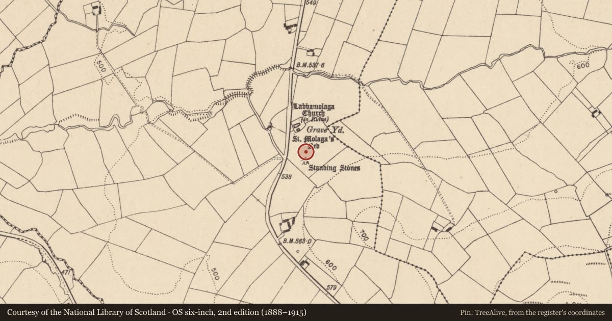 Ordnance Survey six-inch map, 2nd edition (1888–1915) covering the location of Cross, Labbamolaga Middle, County Cork, with a pin at the register's coordinates