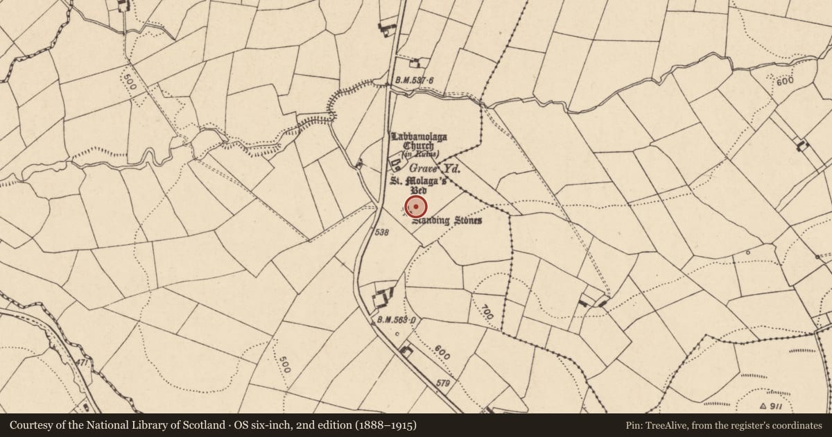 Ordnance Survey six-inch map, 2nd edition (1888–1915) covering the location of Standing stone, Labbamolaga Middle, County Cork, with a pin at the register's coordinates