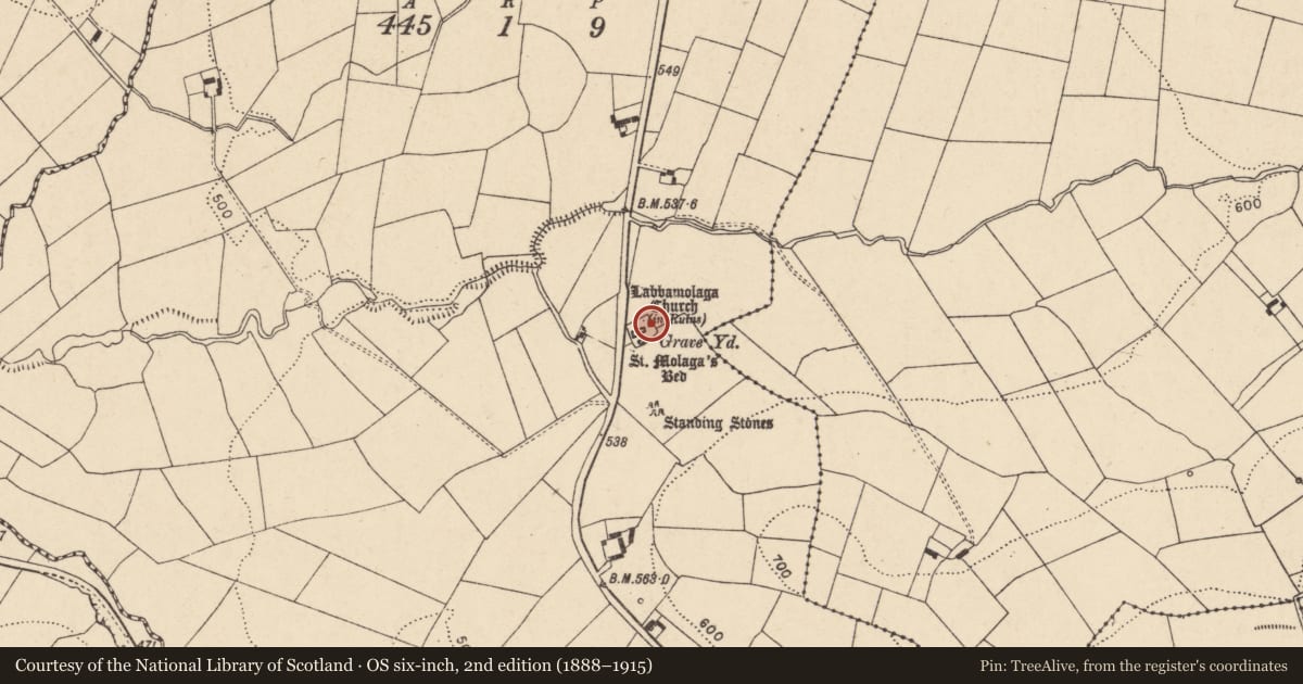 Ordnance Survey six-inch map, 2nd edition (1888–1915) covering the location of Bullaun stone, Labbamolaga Middle, County Cork, with a pin at the register's coordinates