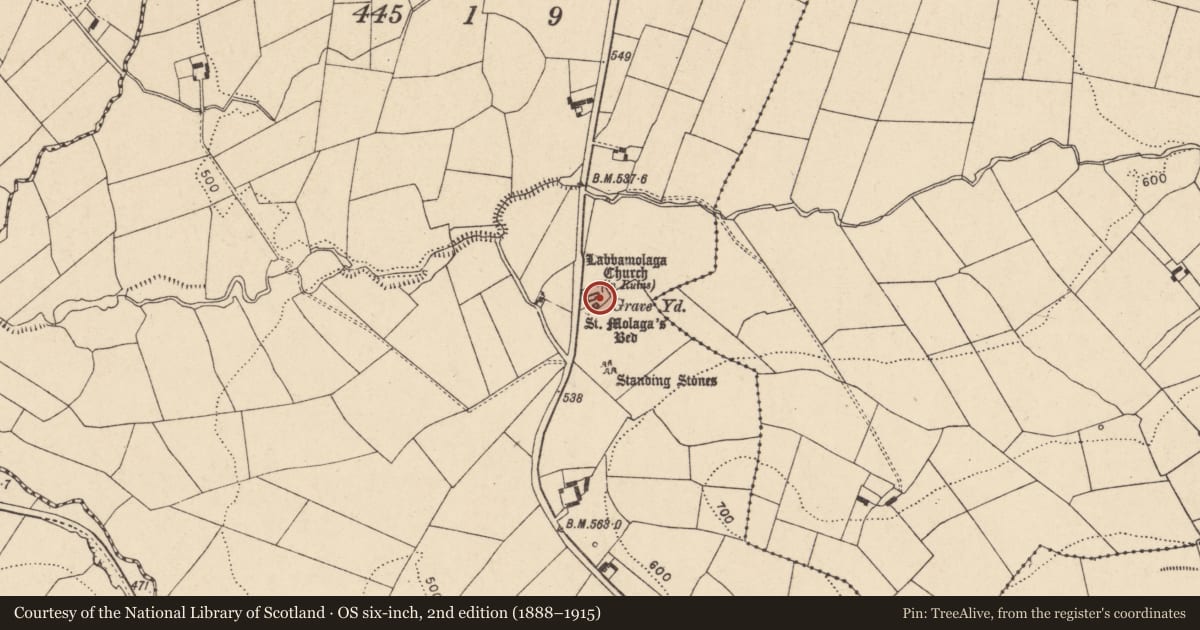 Ordnance Survey six-inch map, 2nd edition (1888–1915) covering the location of Cross-slab, Labbamolaga Middle, County Cork, with a pin at the register's coordinates