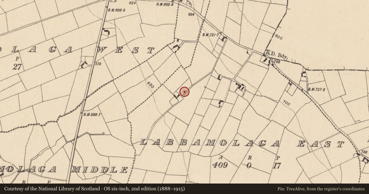 Ordnance Survey six-inch map, 2nd edition (1888–1915) covering the location of Cist, Labbamolaga East, County Cork, with a pin at the register's coordinates