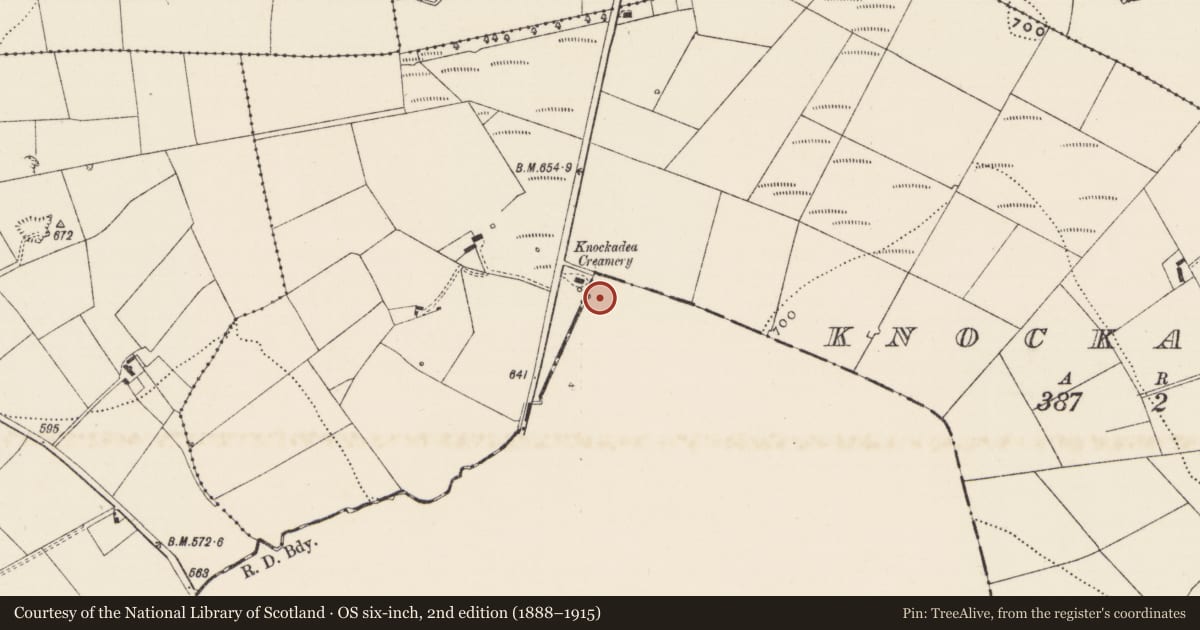 Ordnance Survey six-inch map, 2nd edition (1888–1915) covering the location of Fulacht fia, Labbamolaga Middle, County Cork, with a pin at the register's coordinates