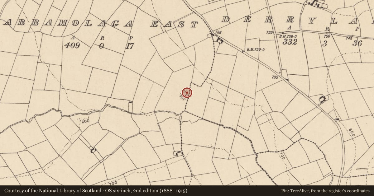 Ordnance Survey six-inch map, 2nd edition (1888–1915) covering the location of Ringfort - rath, Labbamolaga East, County Cork, with a pin at the register's coordinates
