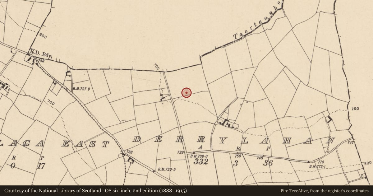 Ordnance Survey six-inch map, 2nd edition (1888–1915) covering the location of Cist, Derrylahan, County Cork, with a pin at the register's coordinates
