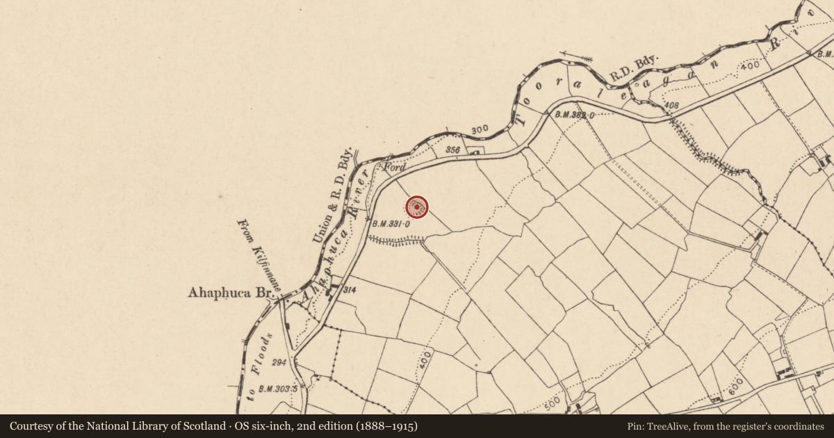 Ordnance Survey six-inch map, 2nd edition (1888–1915) covering the location of Ringfort - rath, Sraharla, County Cork, with a pin at the register's coordinates