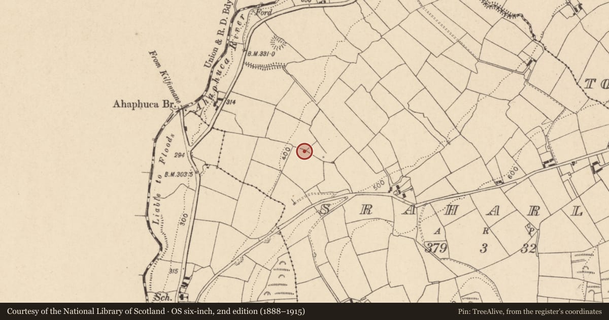 Ordnance Survey six-inch map, 2nd edition (1888–1915) covering the location of Fulacht fia, Sraharla, County Cork, with a pin at the register's coordinates